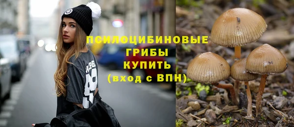apvp Алексеевка